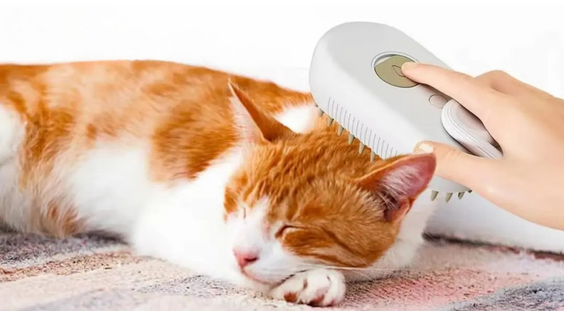 Escova a Vapor Para Pet - Pelo Clean