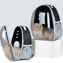 Mochila Transparente para Pet - Pet Tour